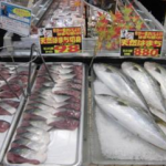 ＜支援企業限定＞なう！事例  1【はまち　事例】