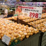 ＜支援企業限定＞なう！事例 11【みかん】