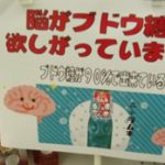 ＜支援企業限定＞ぐっれい9♪受験応援ラムネ