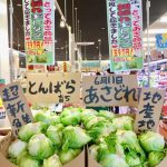 ＜支援企業限定＞ぐっれい28♪頓原産玉レタス