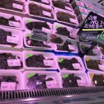 ＜支援企業限定＞ぐっれい30♪海藻